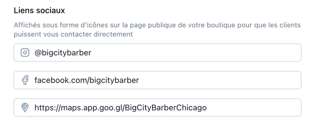 Liens sociaux dans les paramètres du salon TreatsMe avec Instagram, Facebook et Google