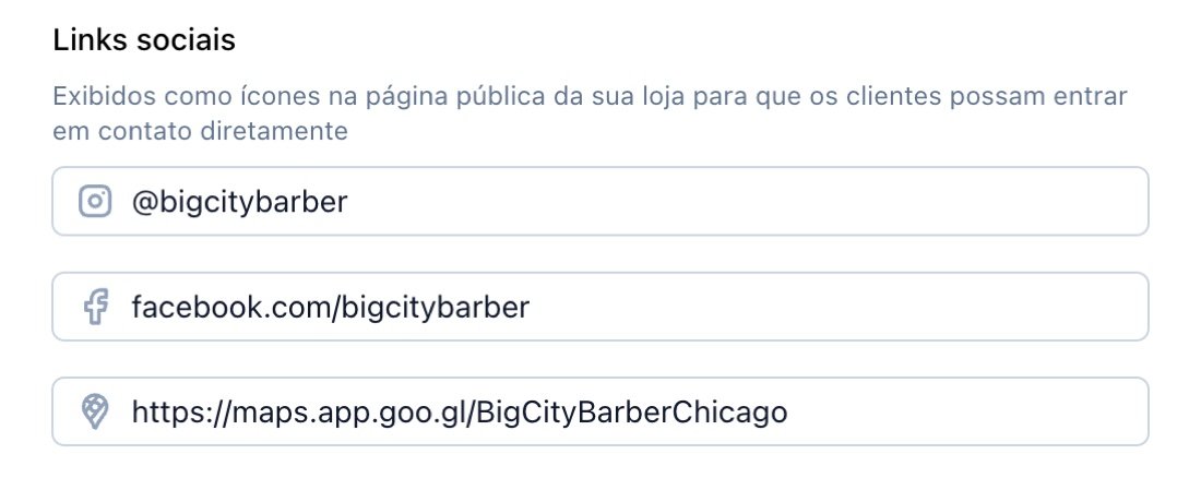 Links sociais nas configurações da loja na TreatsMe com Instagram, Facebook e Google