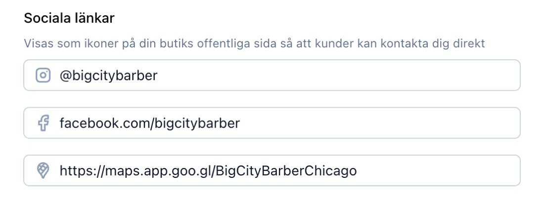 Sociala länkar i TreatsMe-butiksinställningarna med Instagram, Facebook och Google